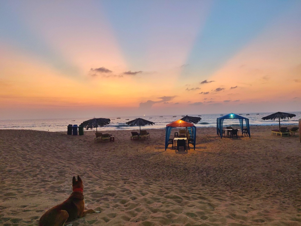 Goa Carnival & Mystic Konkan