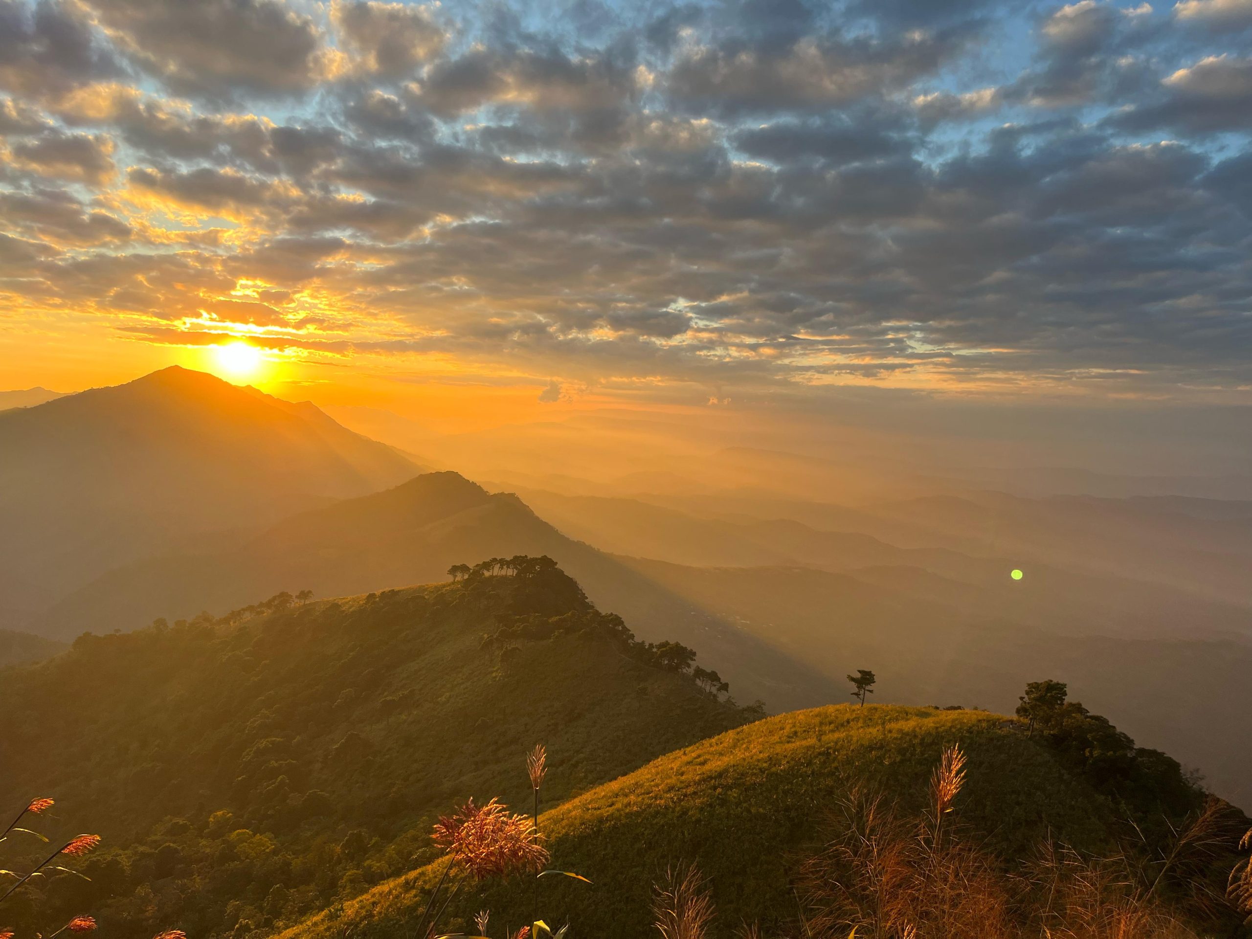 Dima Hasao